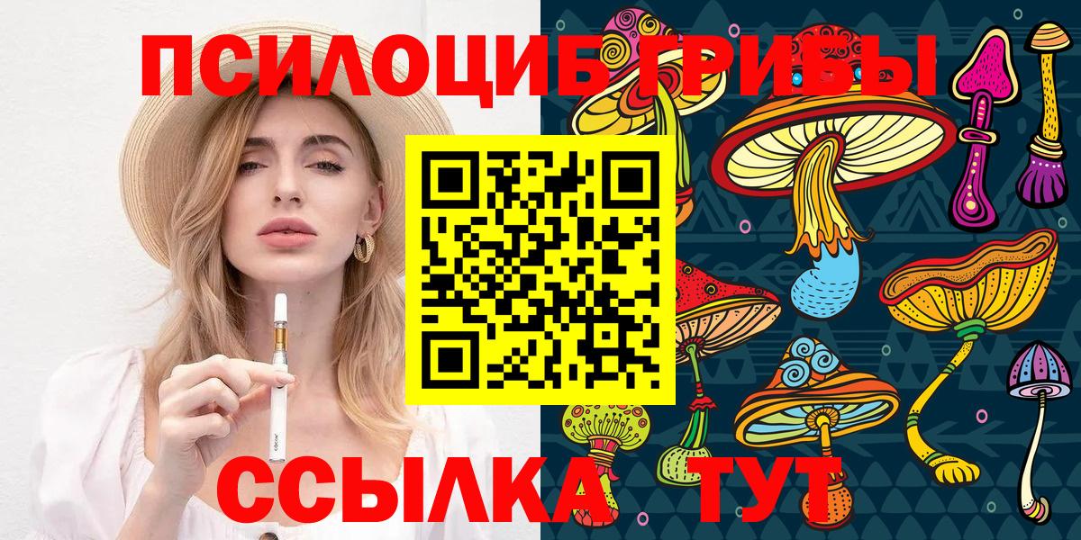 Псилоцибиновые грибы Psilocybe  Галлюциногенные грибы ЛСД  Асино 